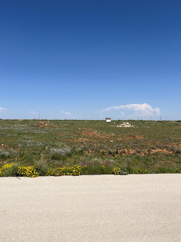 Slider Thumb