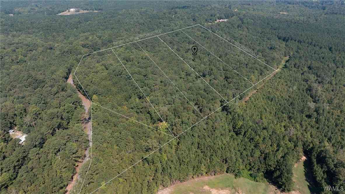 Slider Thumb