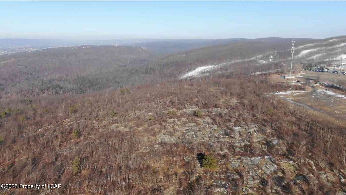 Slider Thumb