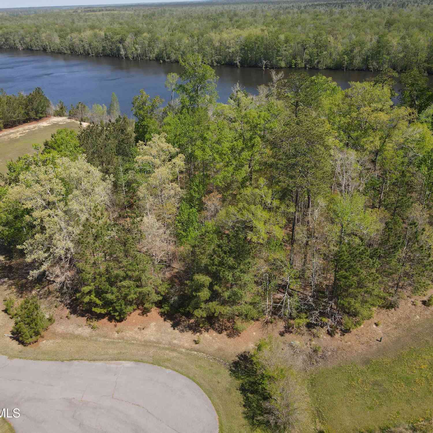 Slider Thumb