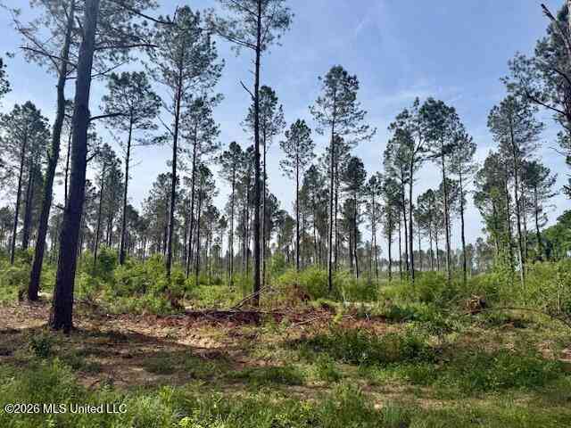 Slider Thumb