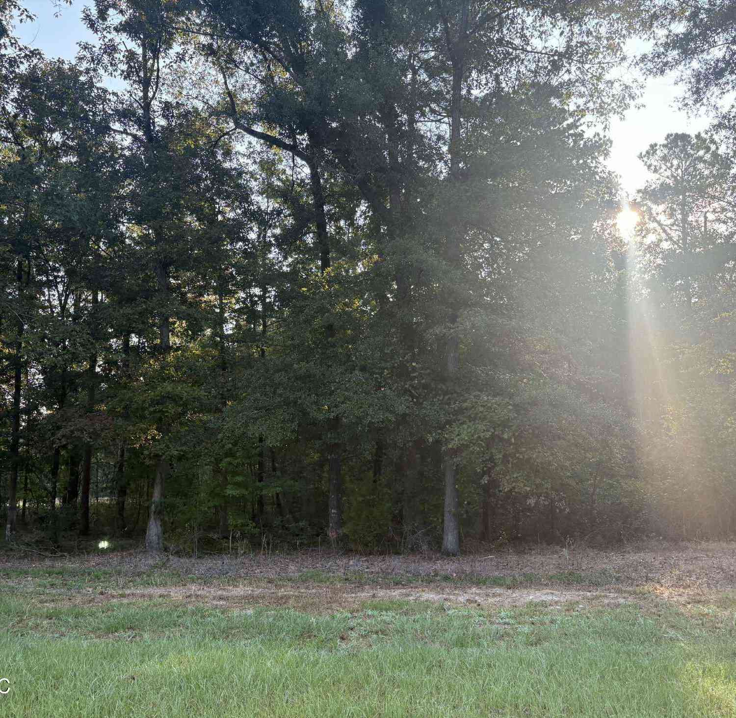 Slider Thumb
