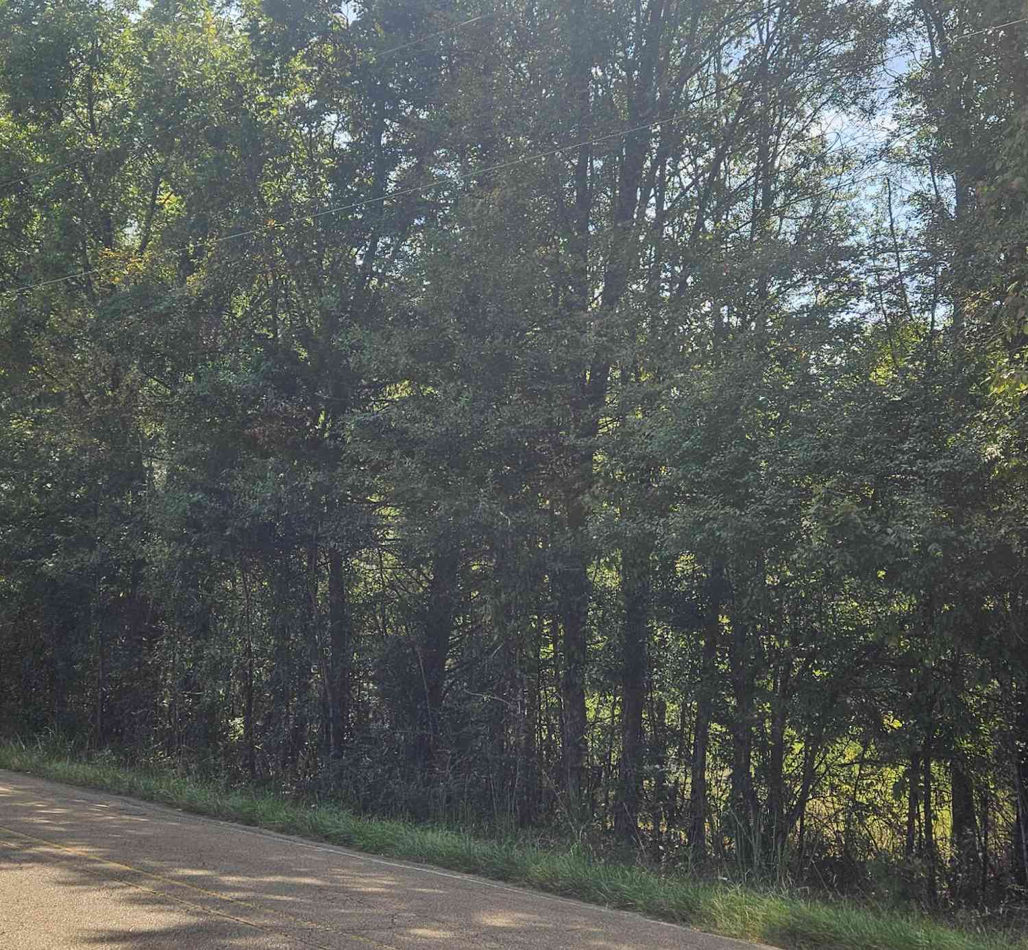 Slider Thumb