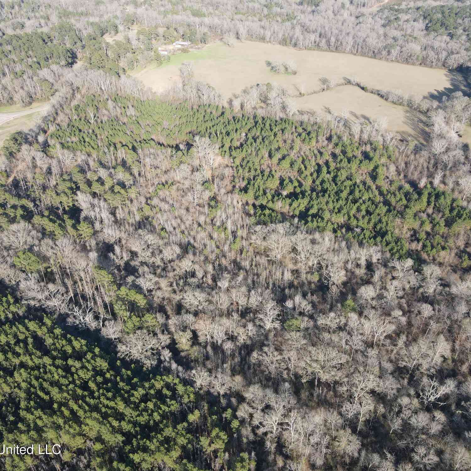 Slider Thumb