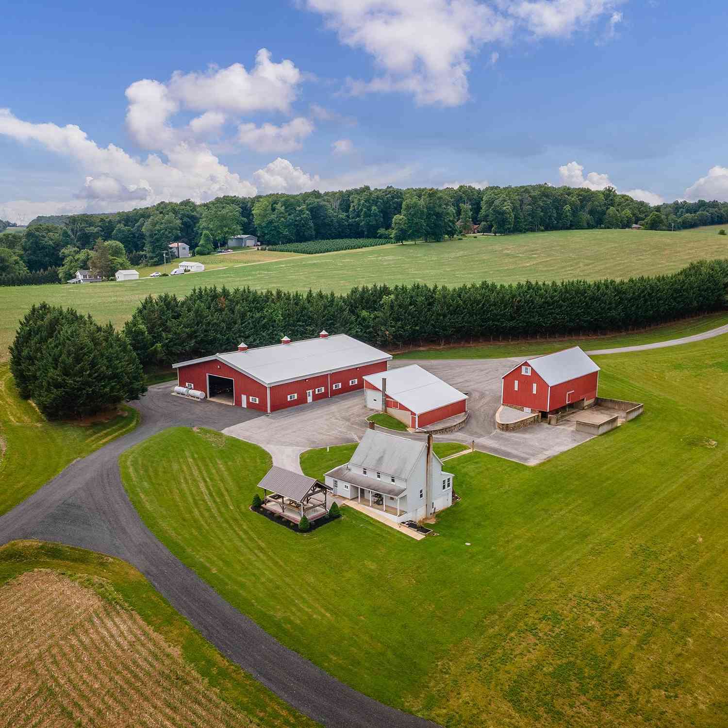 Slider Thumb