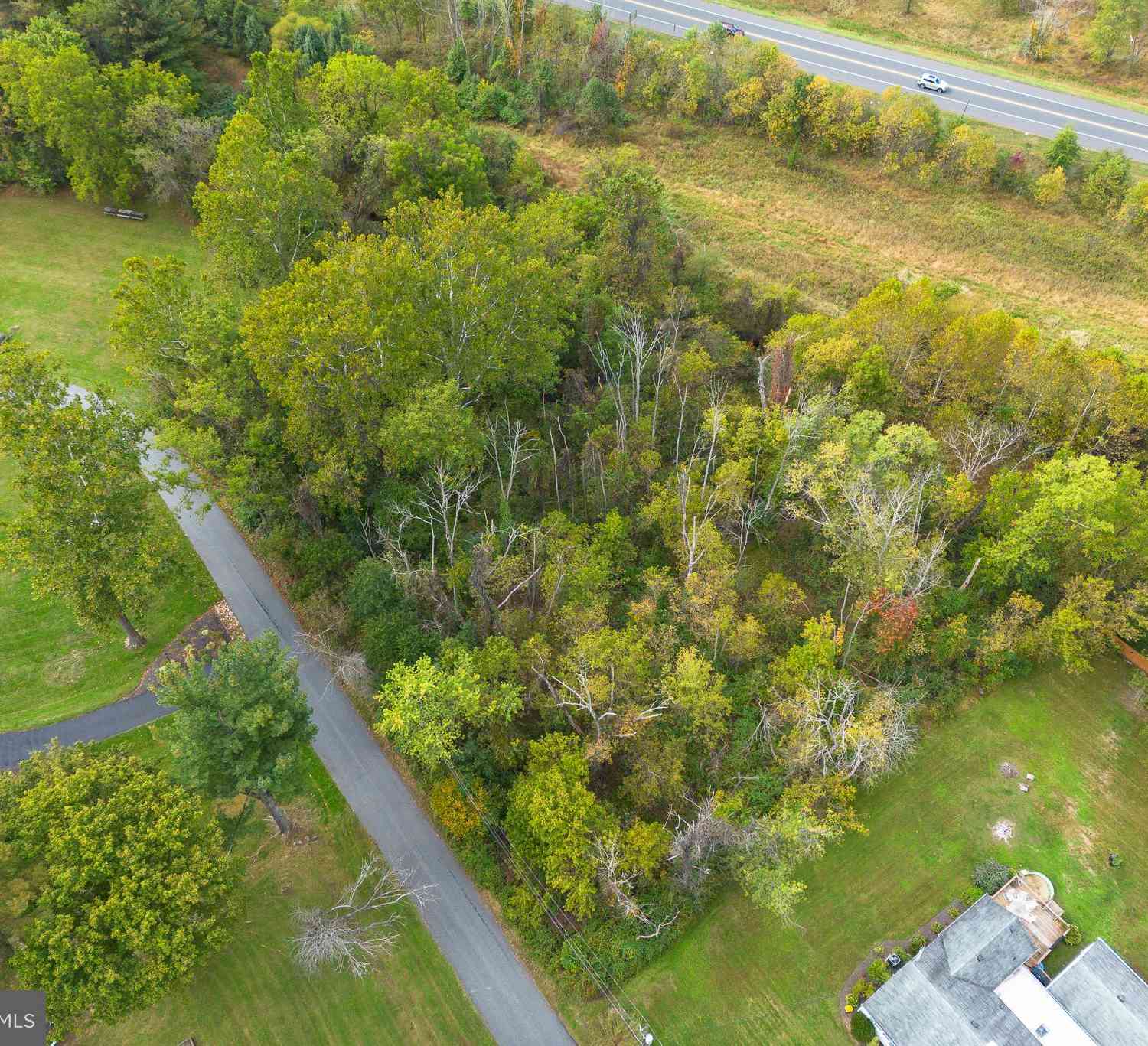 Slider Thumb