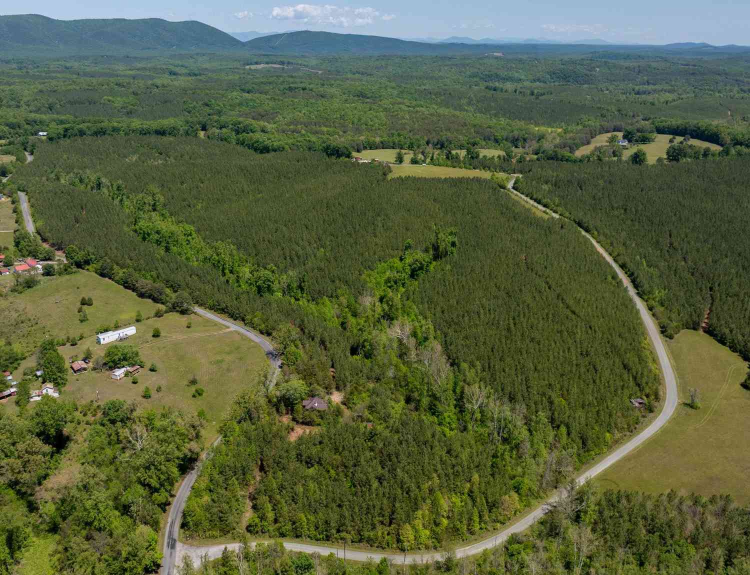 Slider Thumb