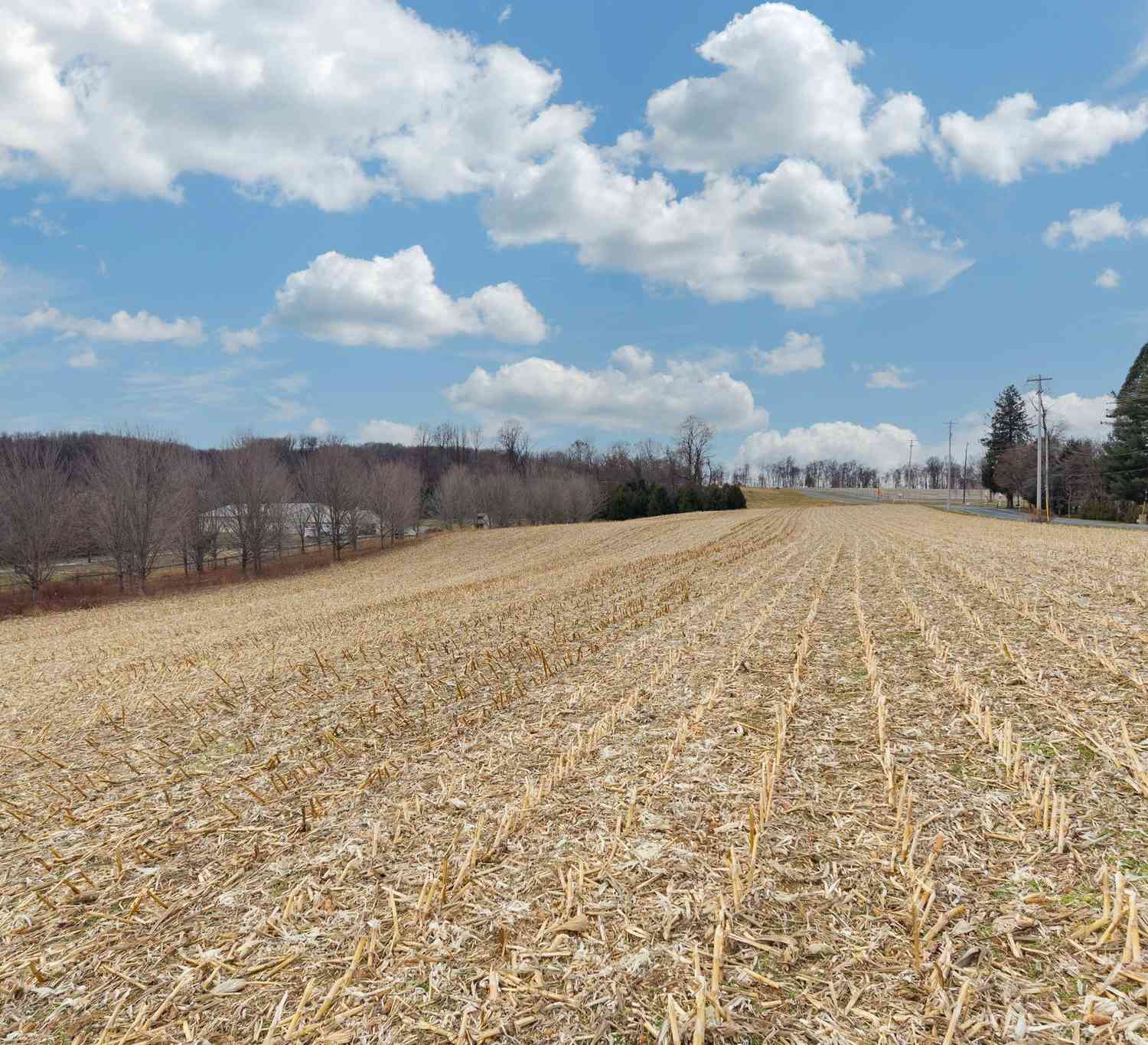 Slider Thumb