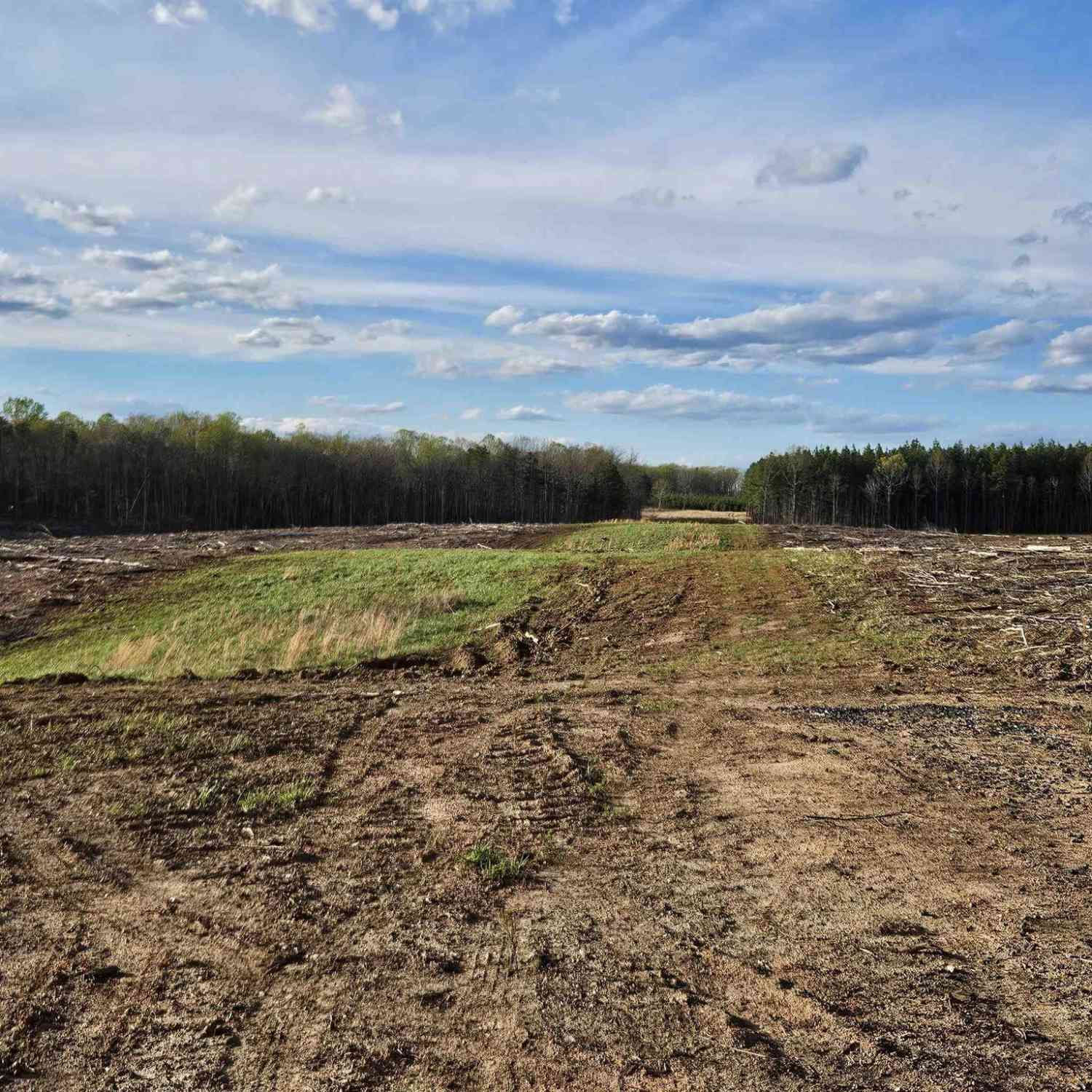 Slider Thumb