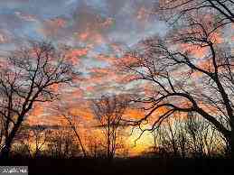 Slider Thumb