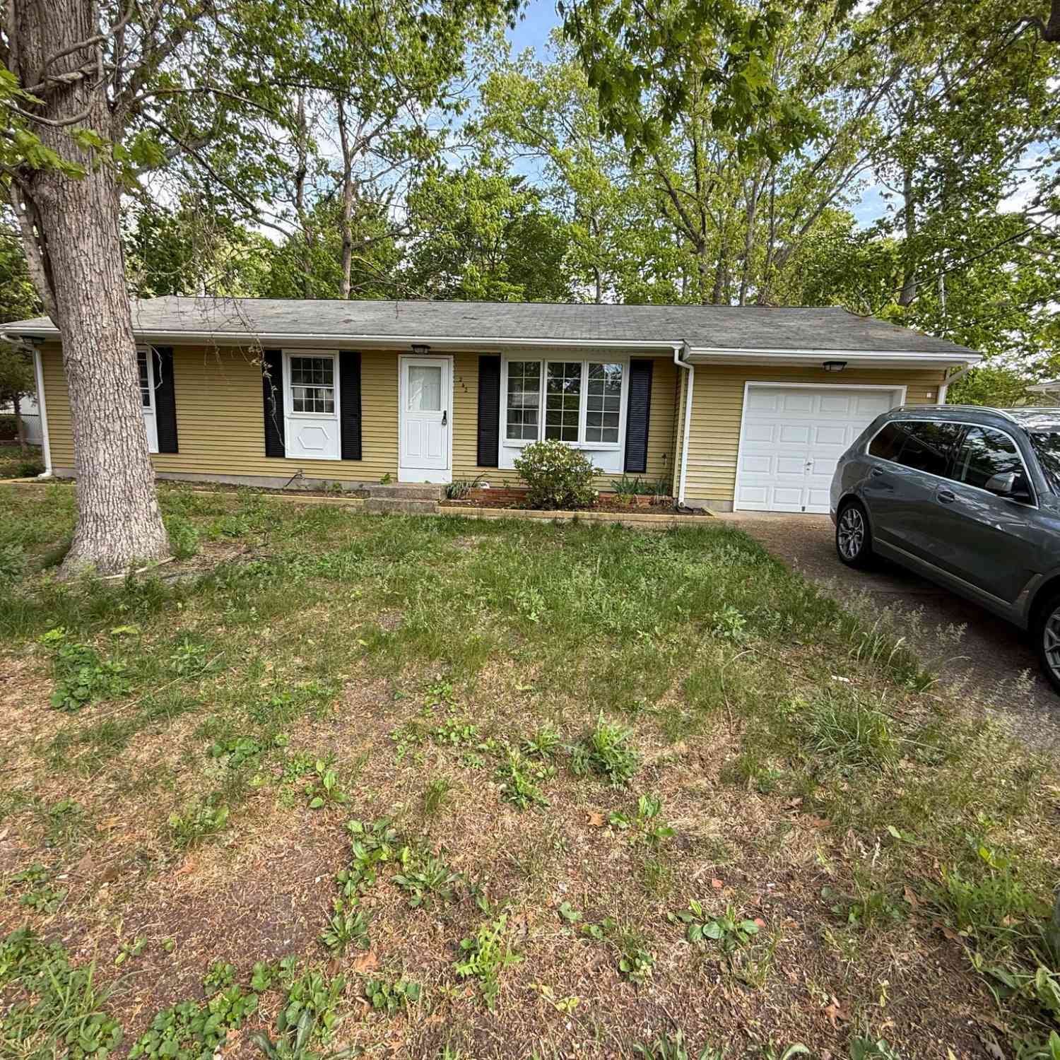 Slider Thumb