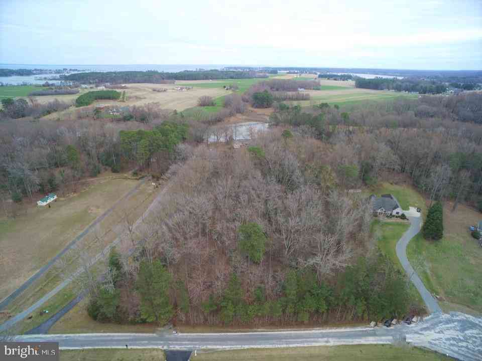 Slider Thumb