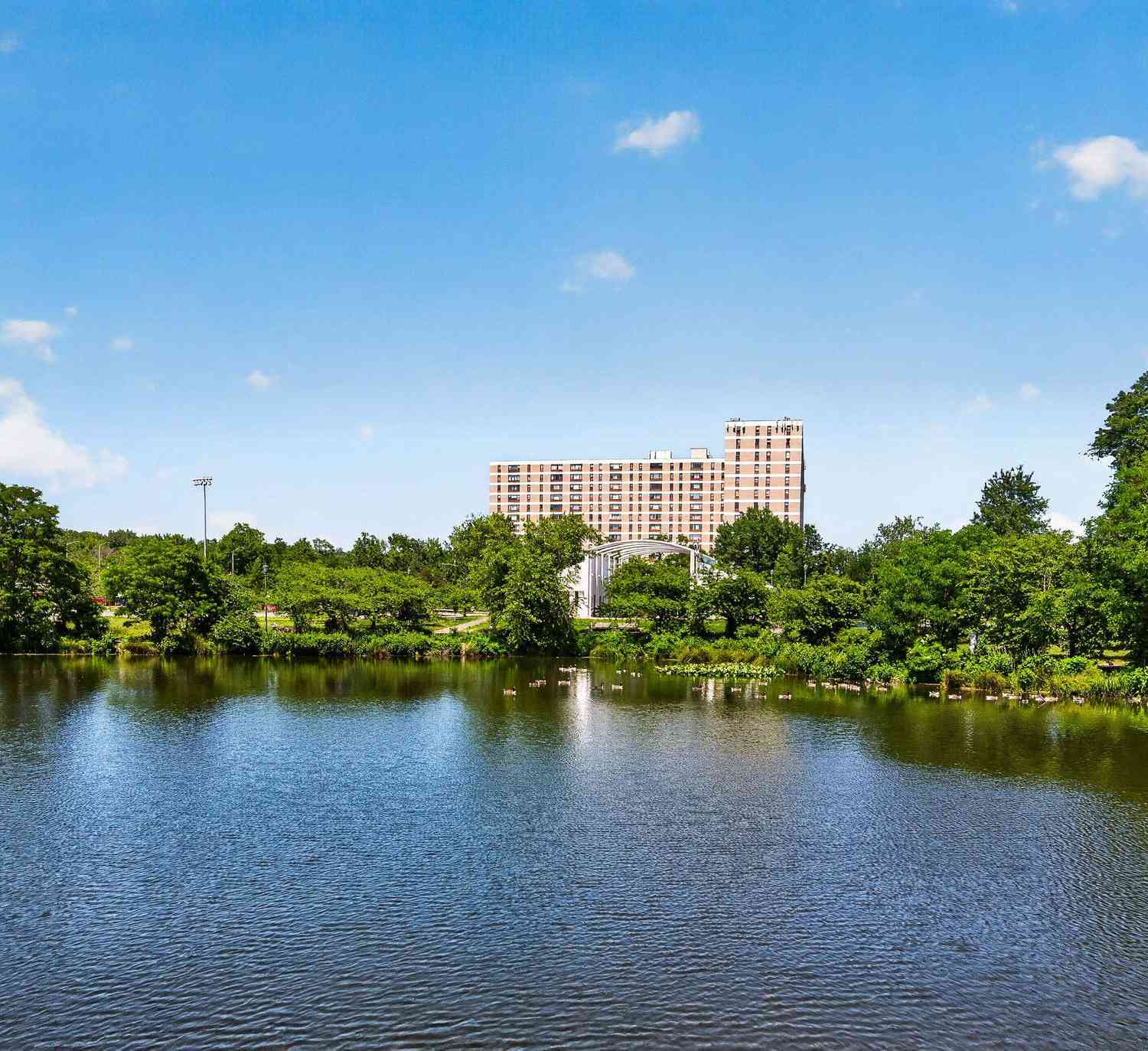 Slider Thumb