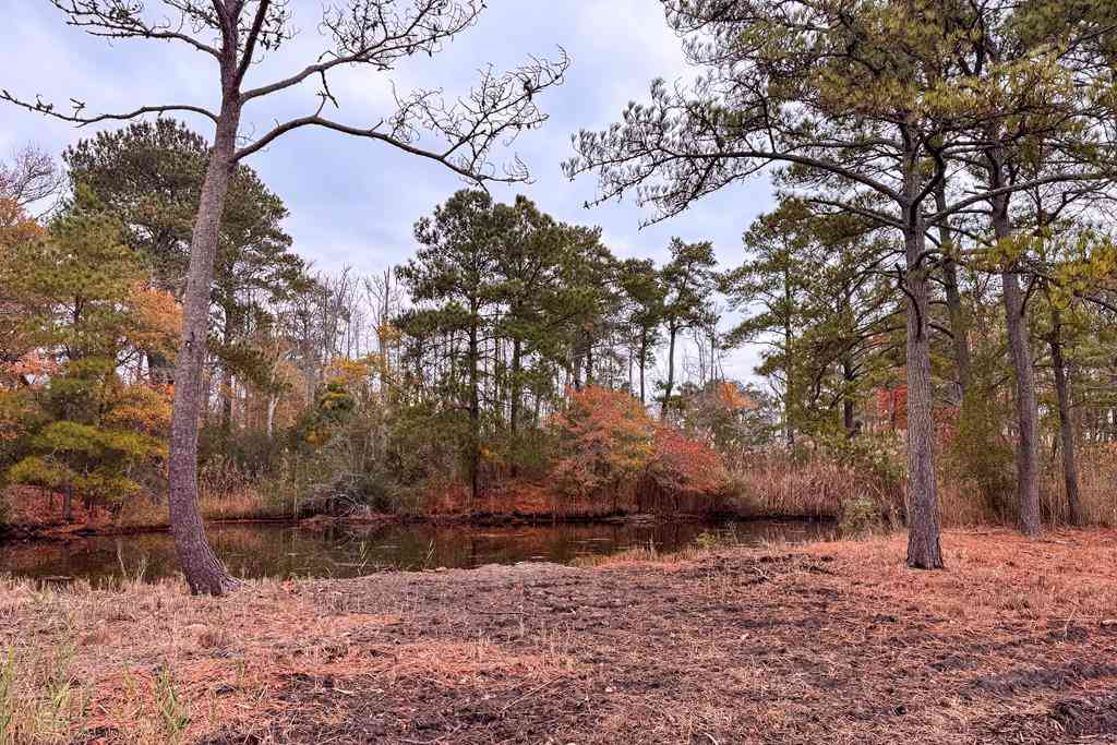 Slider Thumb