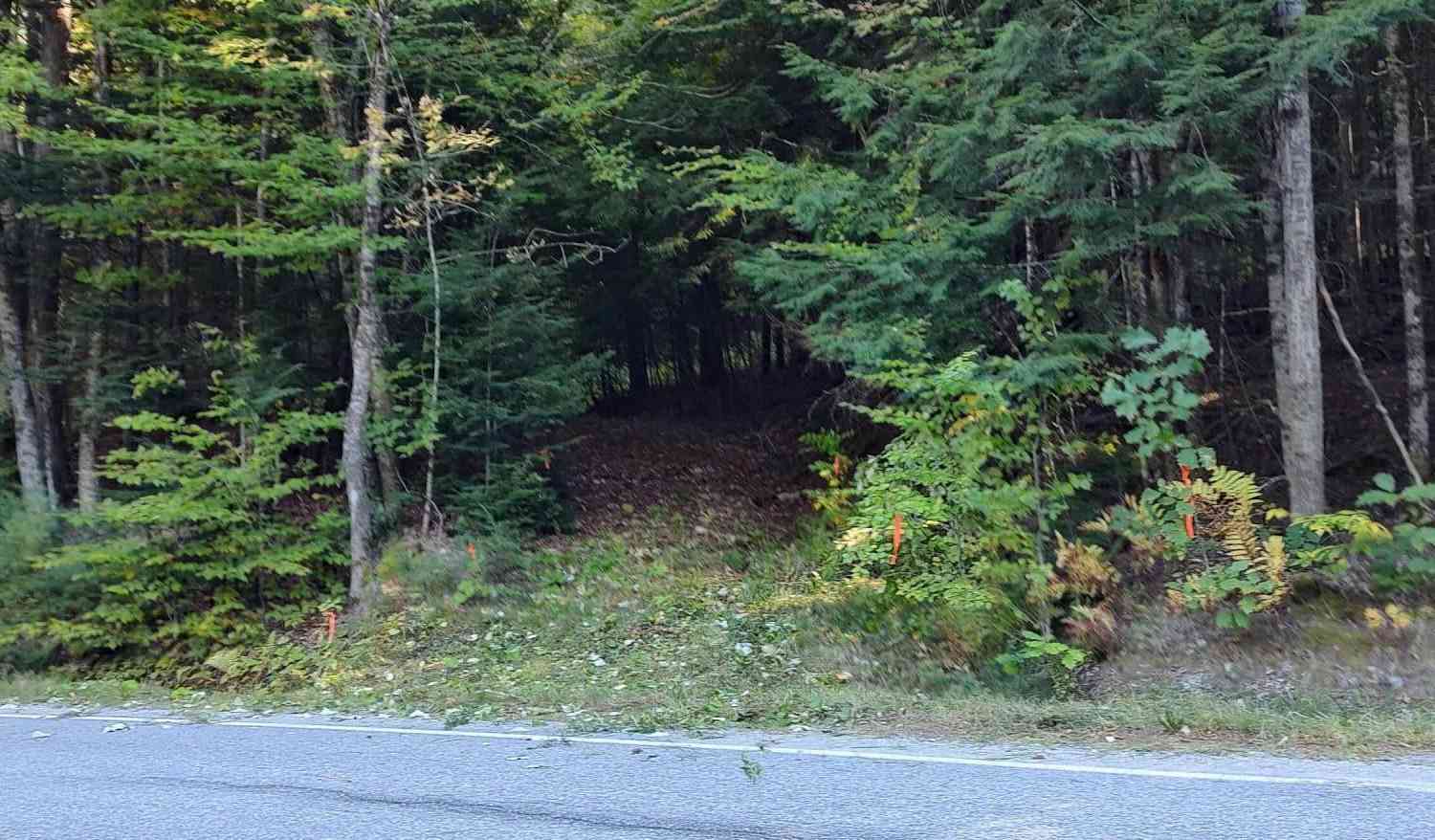 Slider Thumb