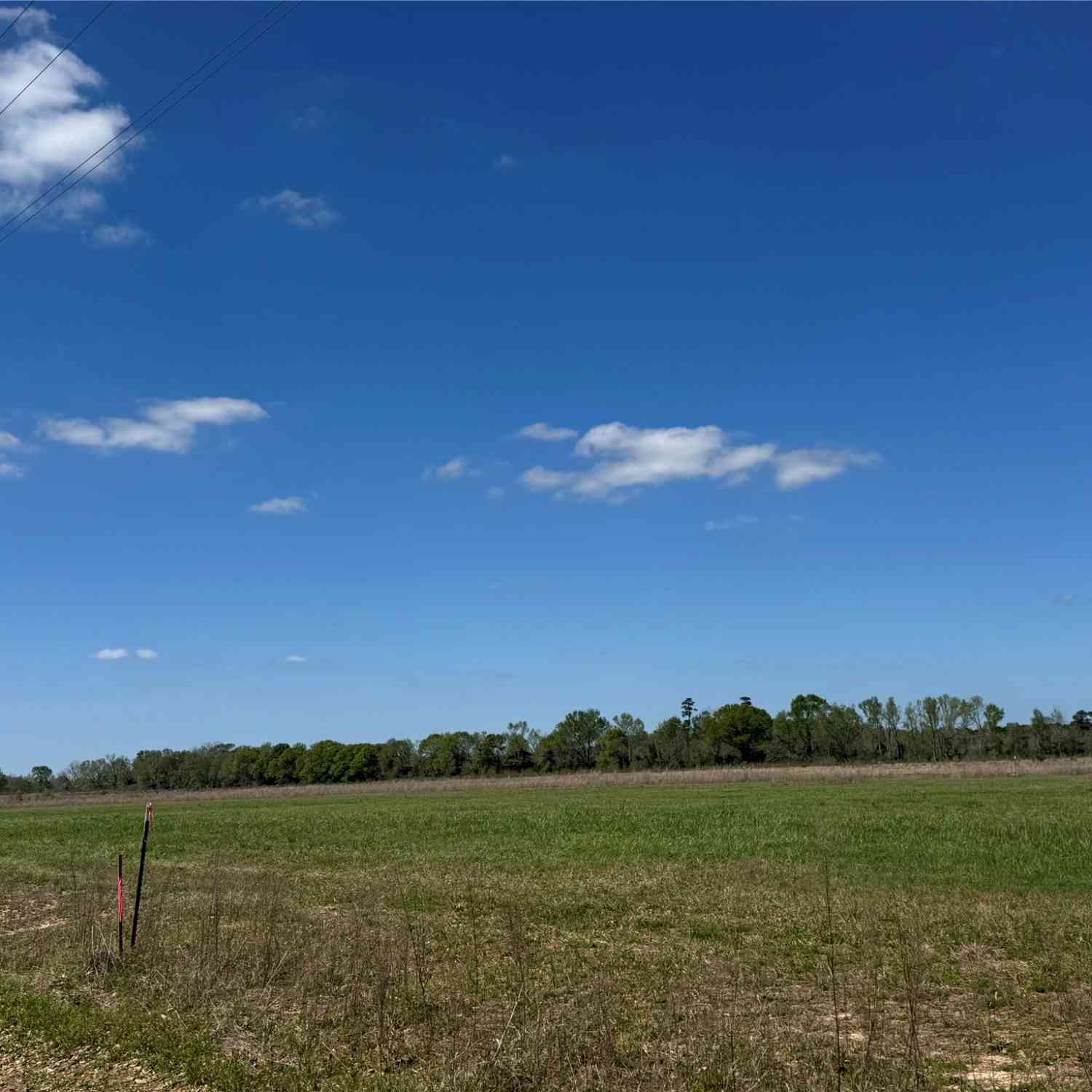 Slider Thumb