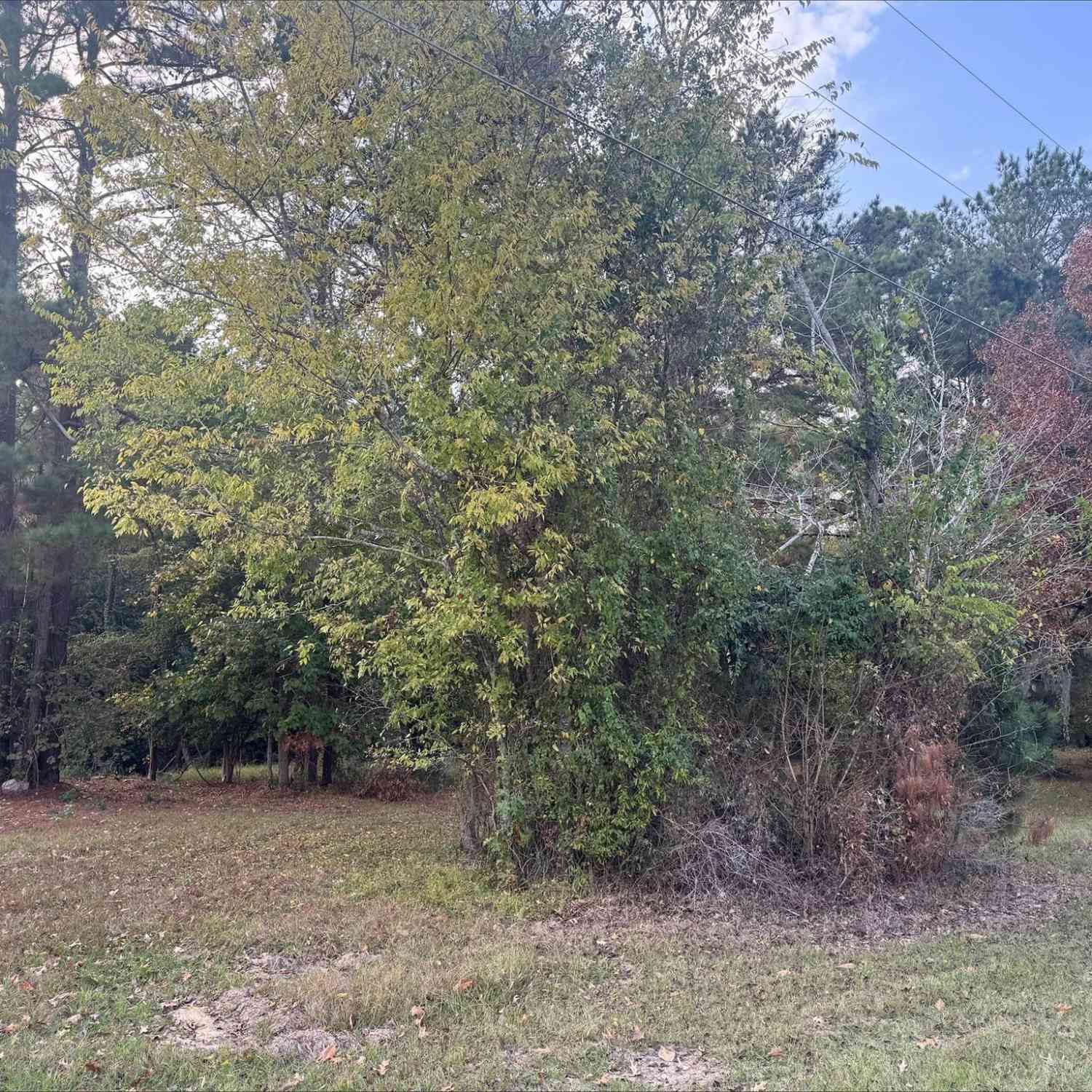 Slider Thumb