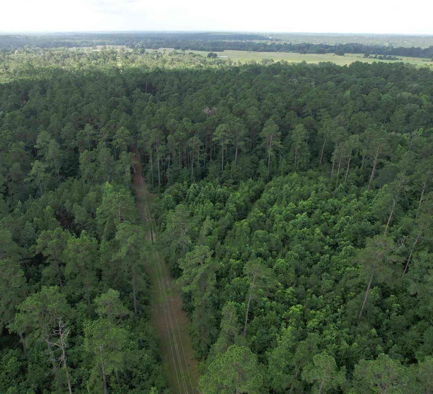 Slider Thumb