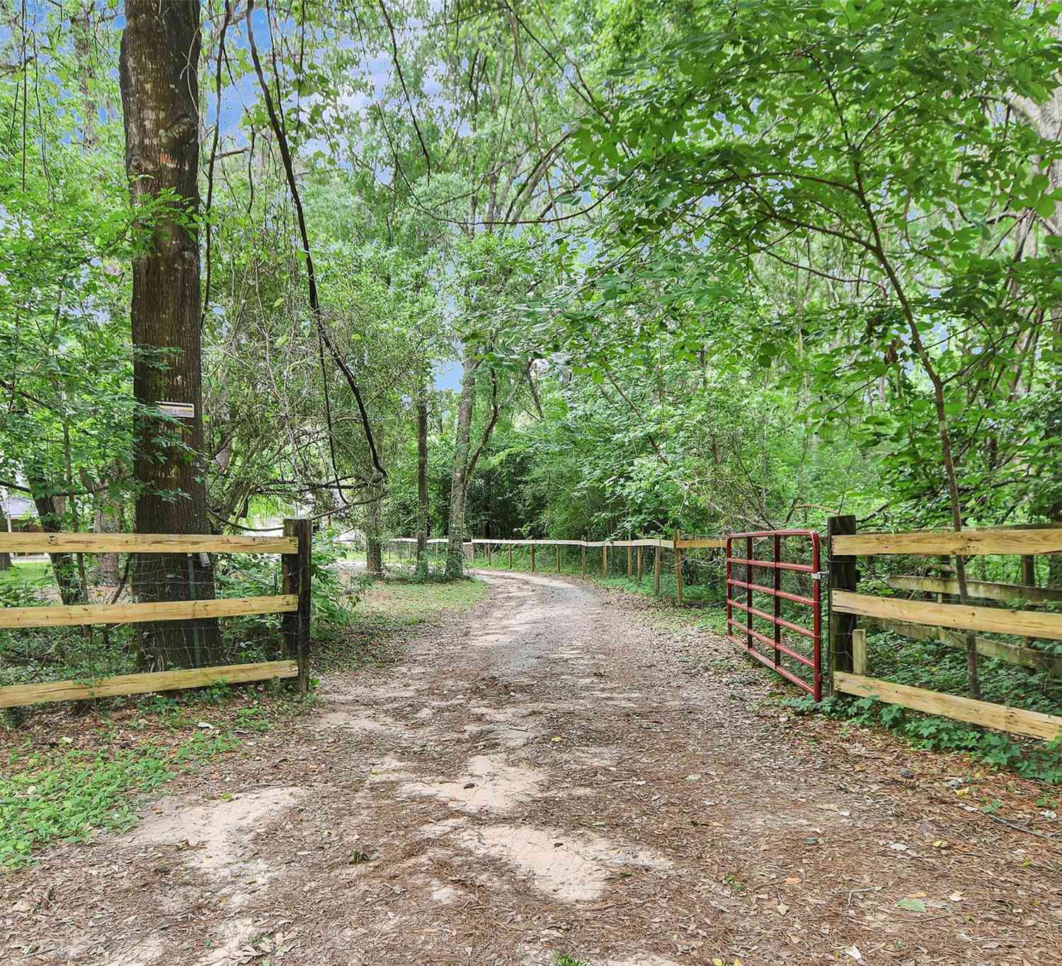 Slider Thumb