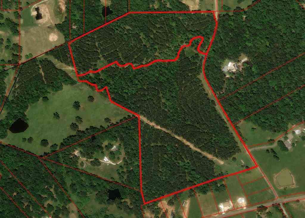 Slider Thumb