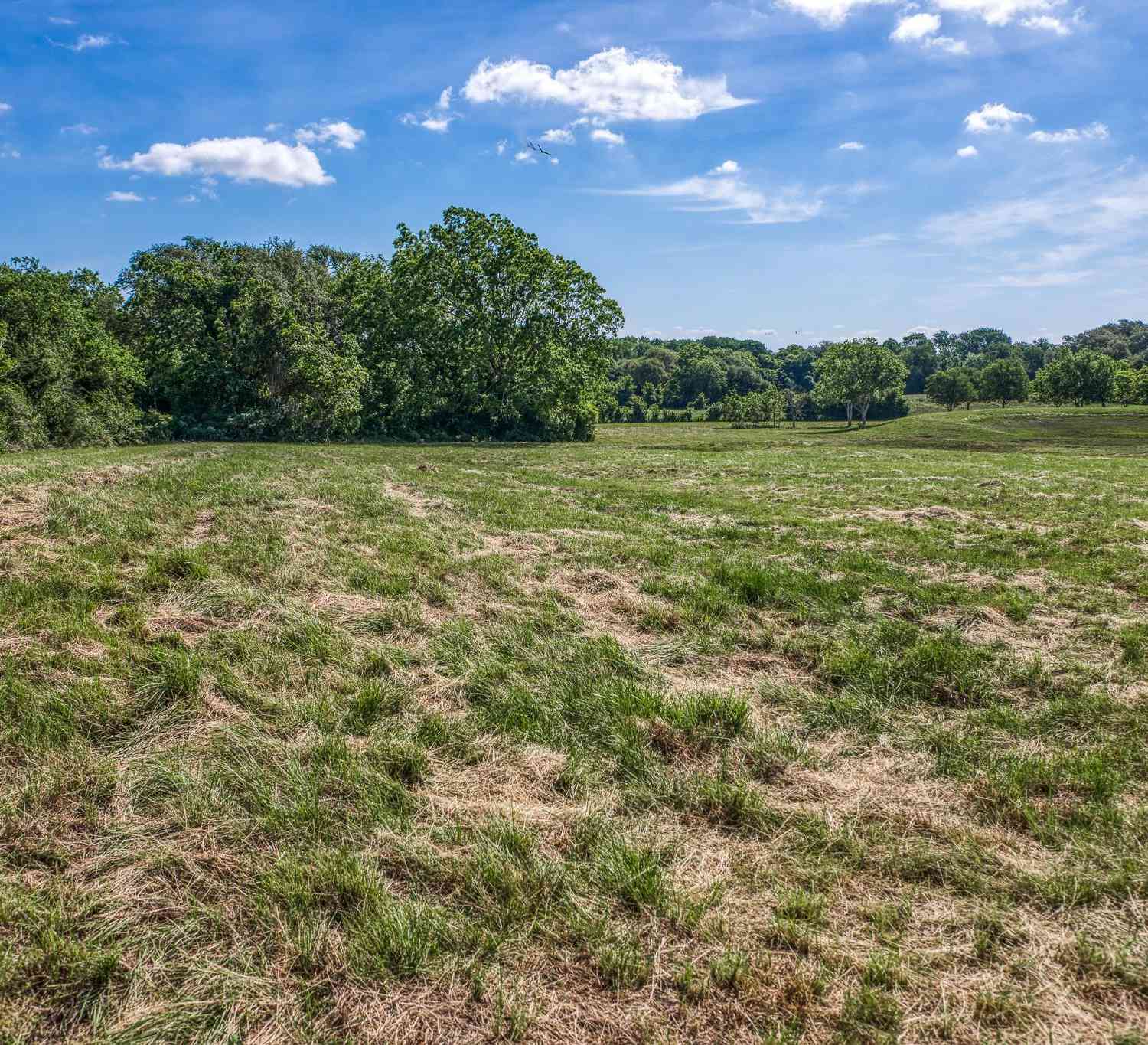 Slider Thumb