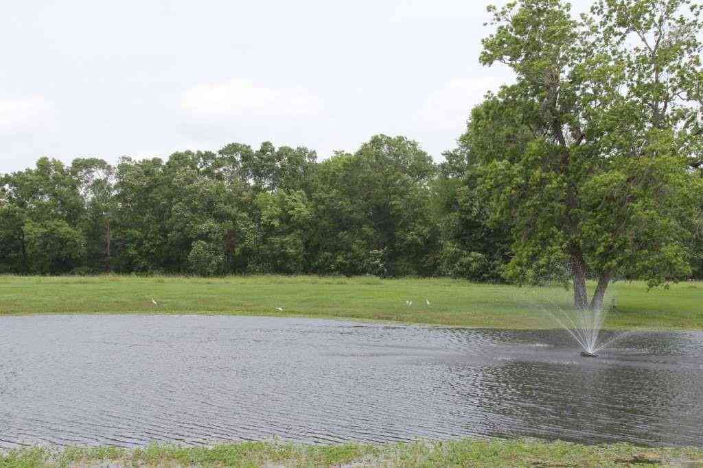 Slider Thumb
