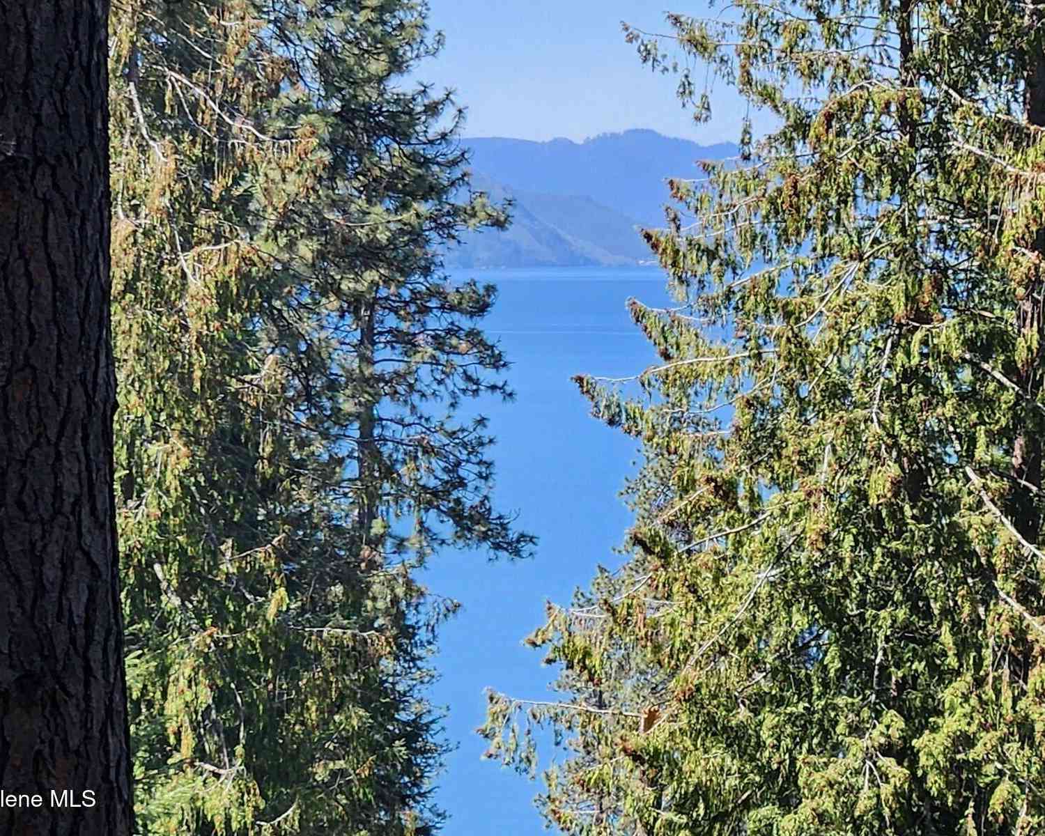Slider Thumb