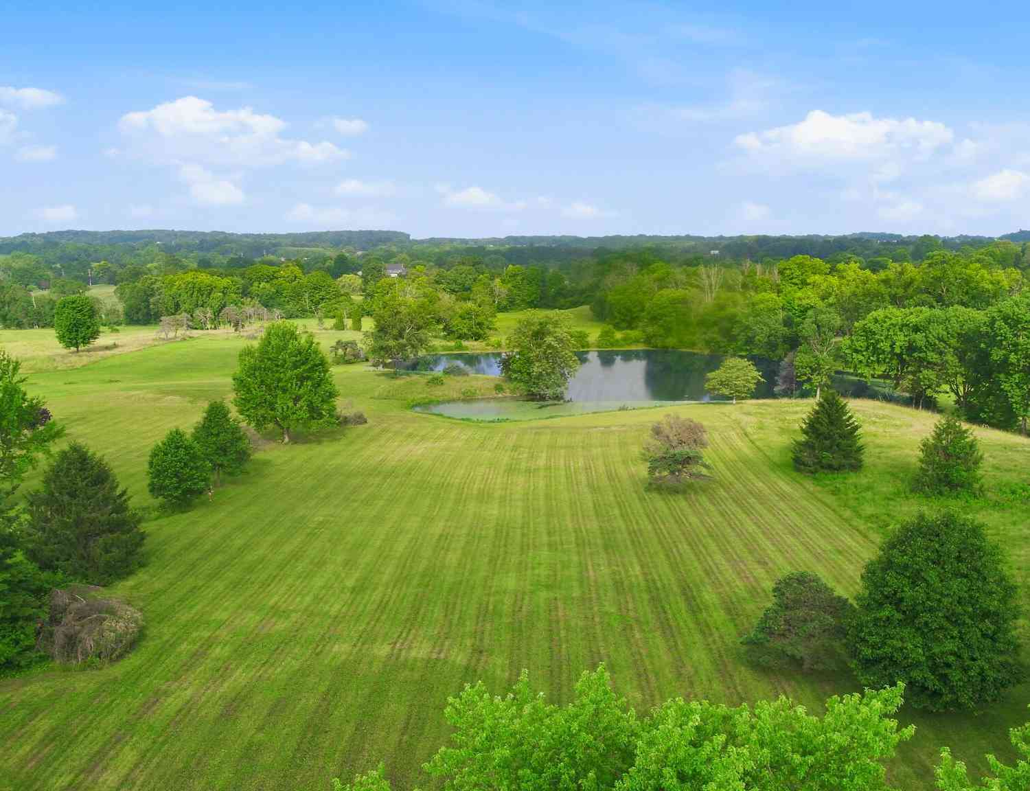 Slider Thumb