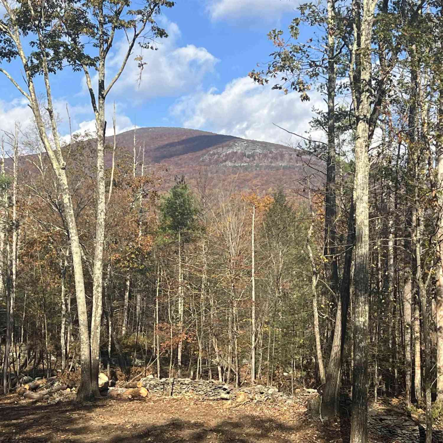 Slider Thumb