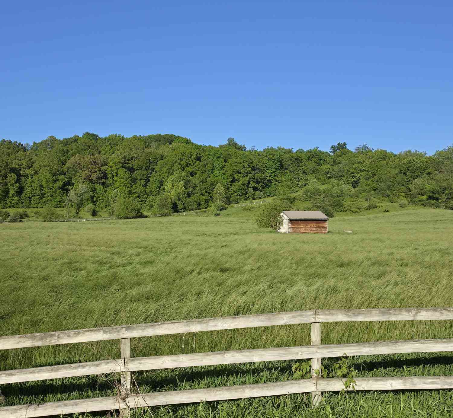 Slider Thumb