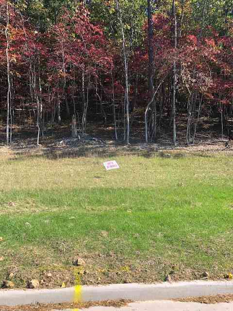 Slider Thumb