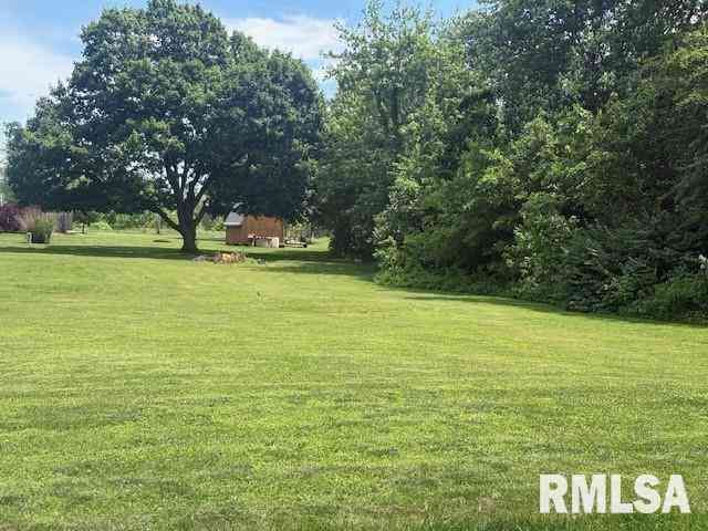 Slider Thumb