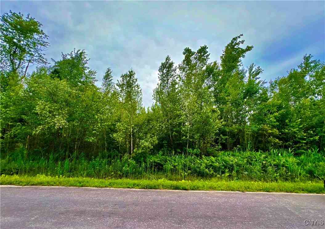 Slider Thumb