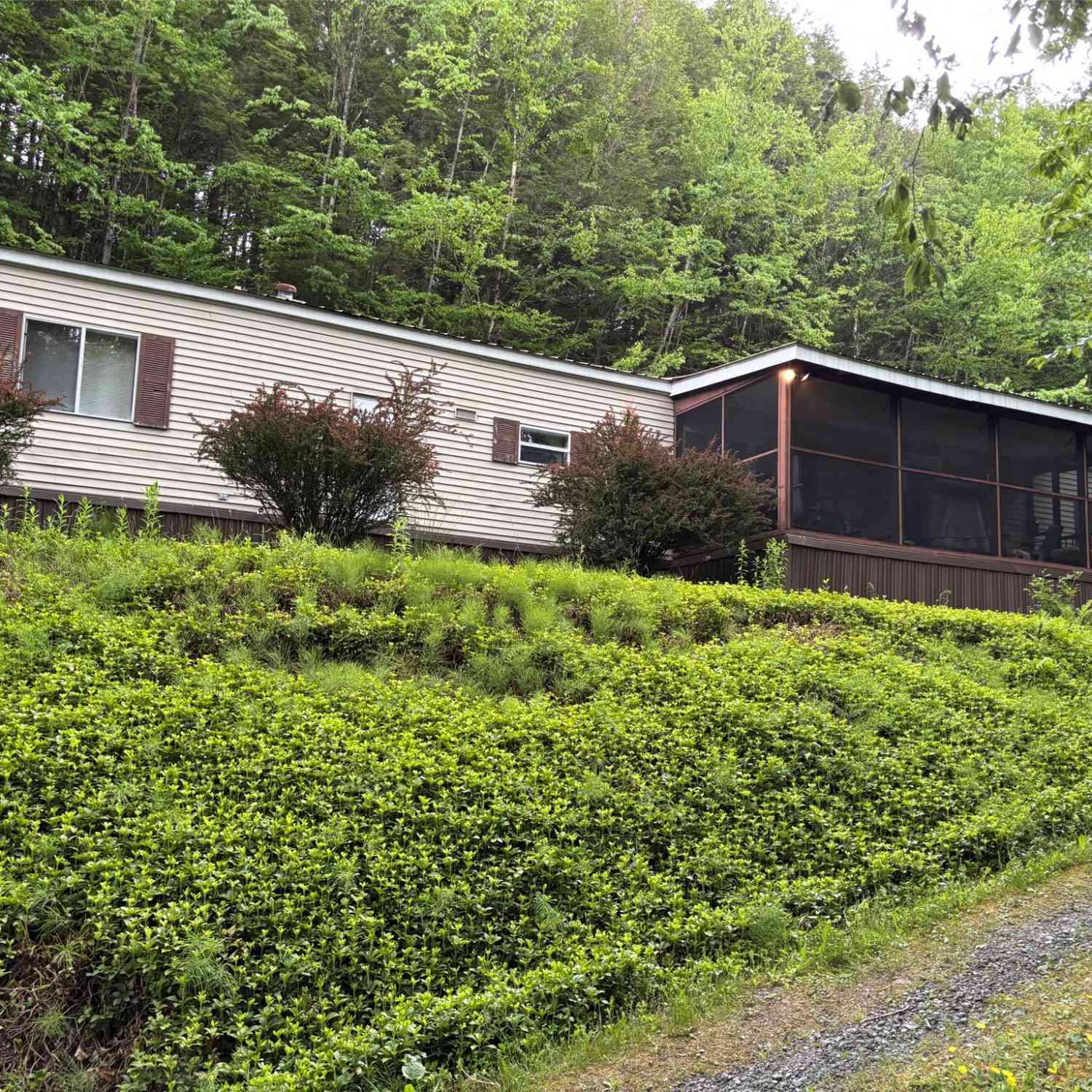 Slider Thumb