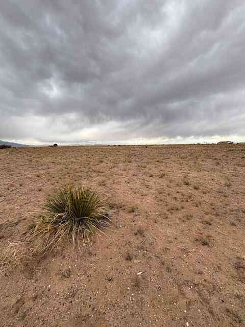 Slider Thumb
