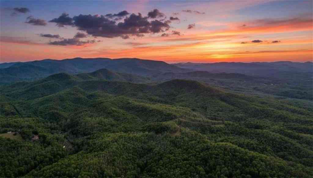 Slider Thumb
