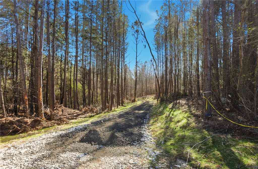 Slider Thumb