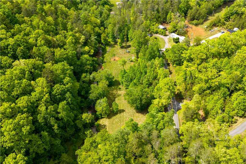 Slider Thumb
