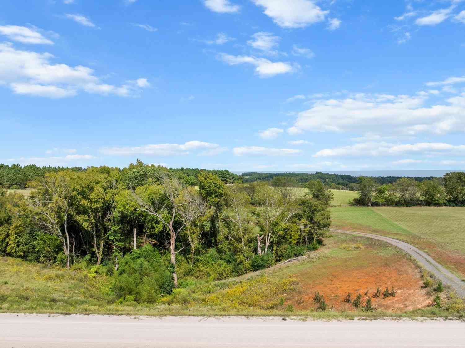 Slider Thumb