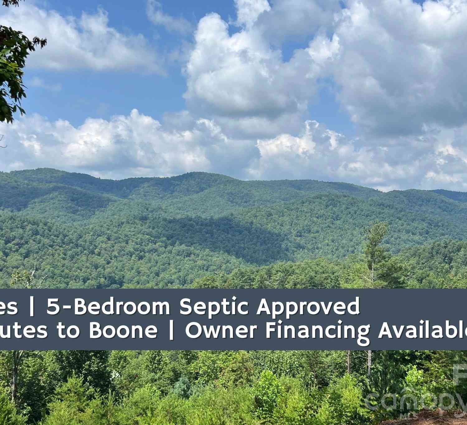 Vacant Land For Sale - TBD Lazy Bear Lane<br/> Purlear, NC 28665