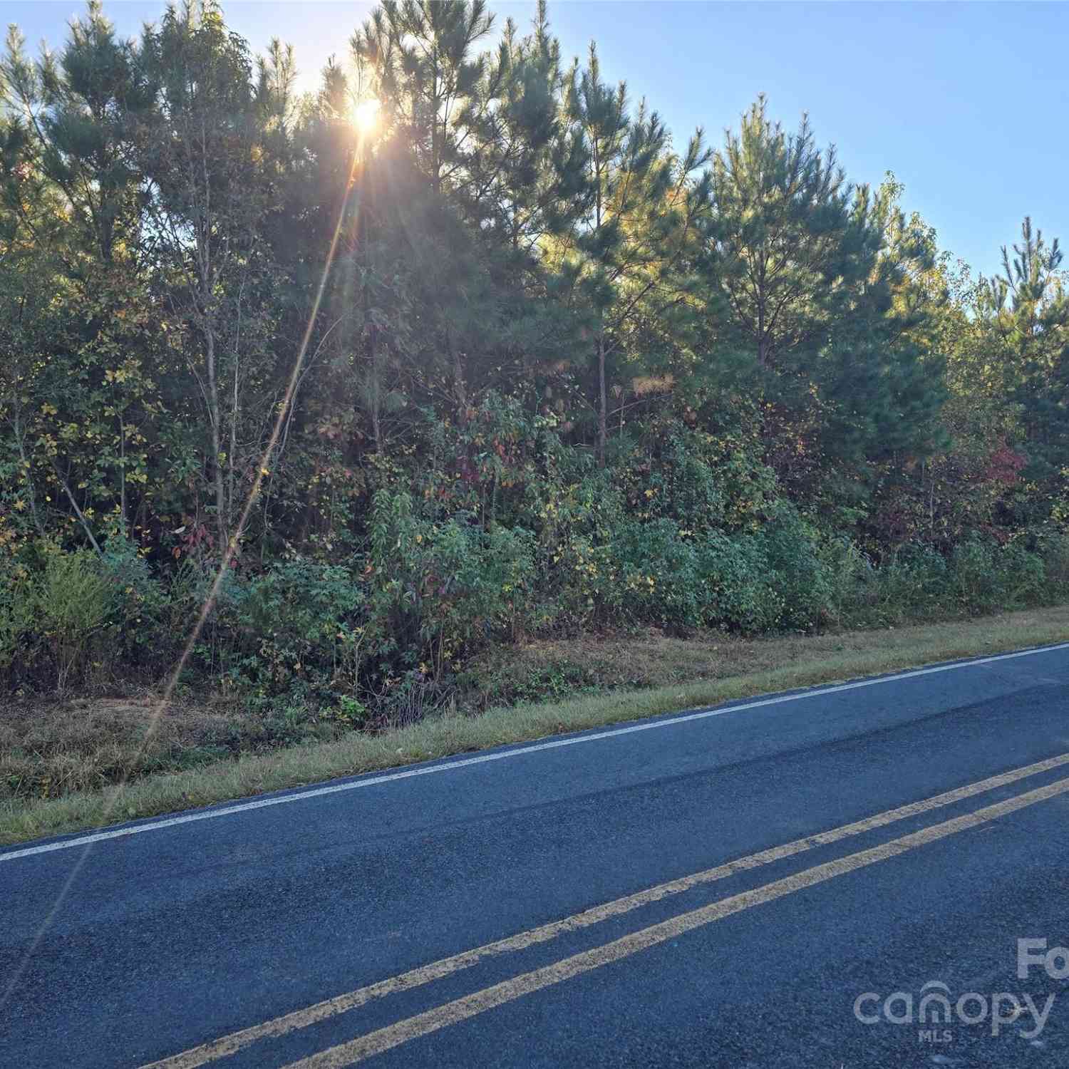 Vacant Land For Sale - Moss Lane<br/> New London, NC 28127