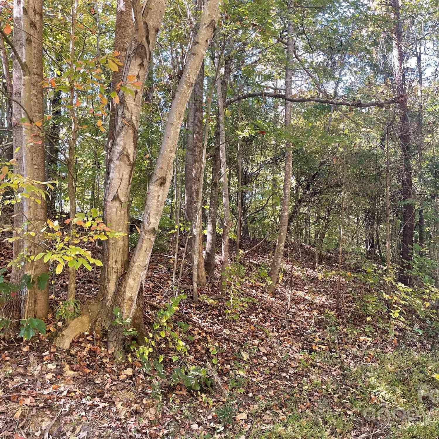 Vacant Land For Sale - 237 Lamplighter Lane<br/> Mount Holly, NC 28120
