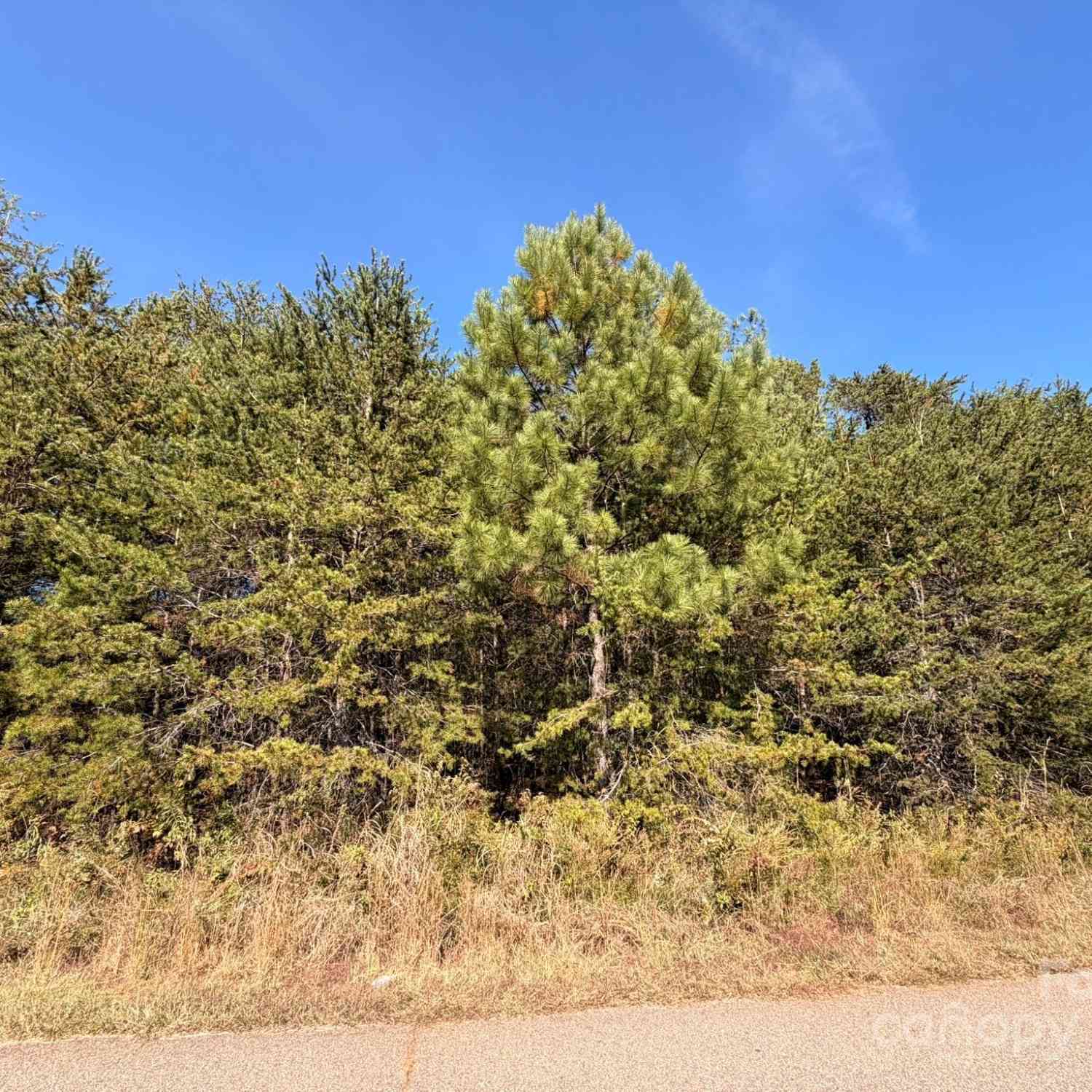 Vacant Land For Sale - 1953 Milton Street #36<br/> Newton, NC 28658