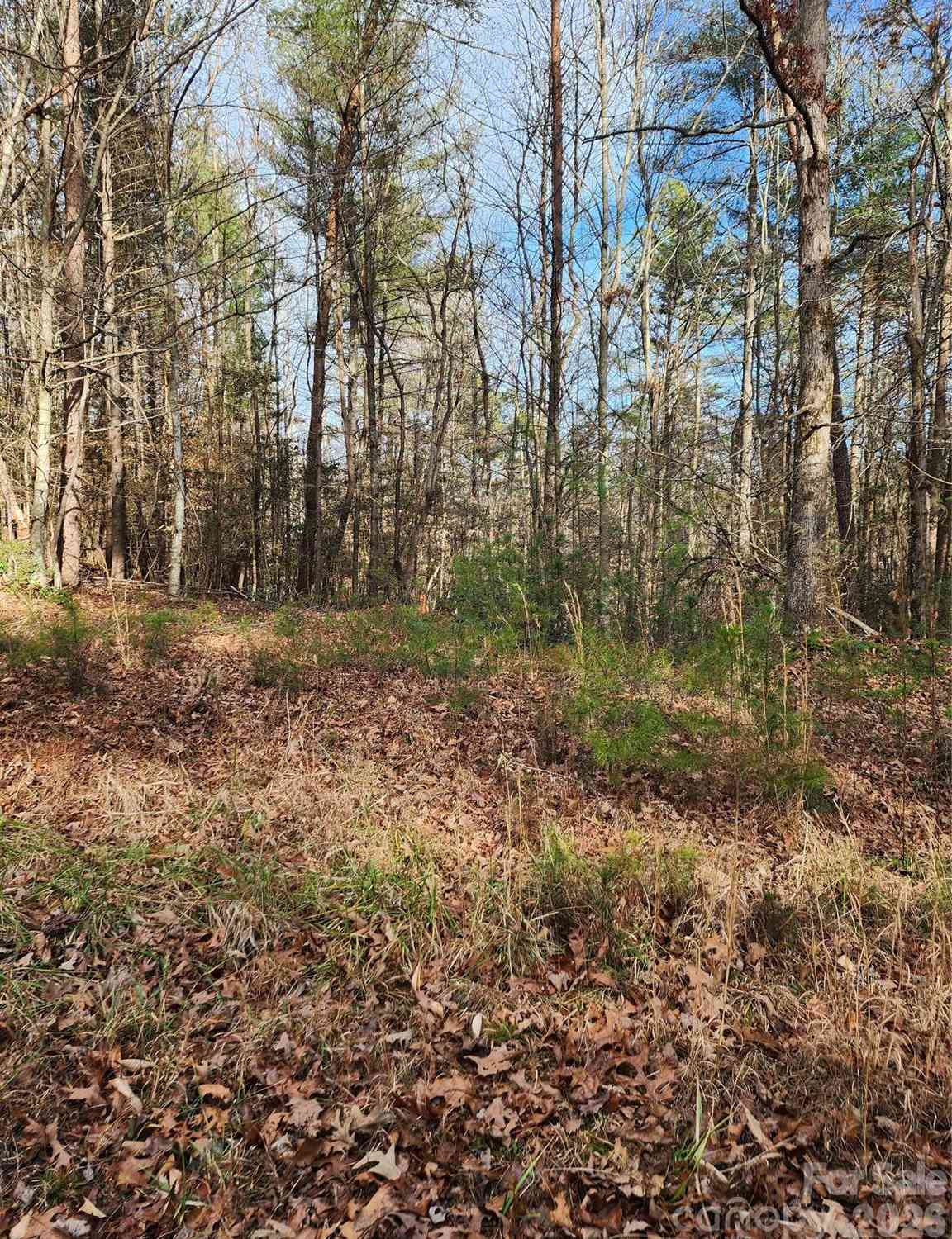 Vacant Land For Sale - Rainbow Trout Drive #14<br/> Hays, NC 28635