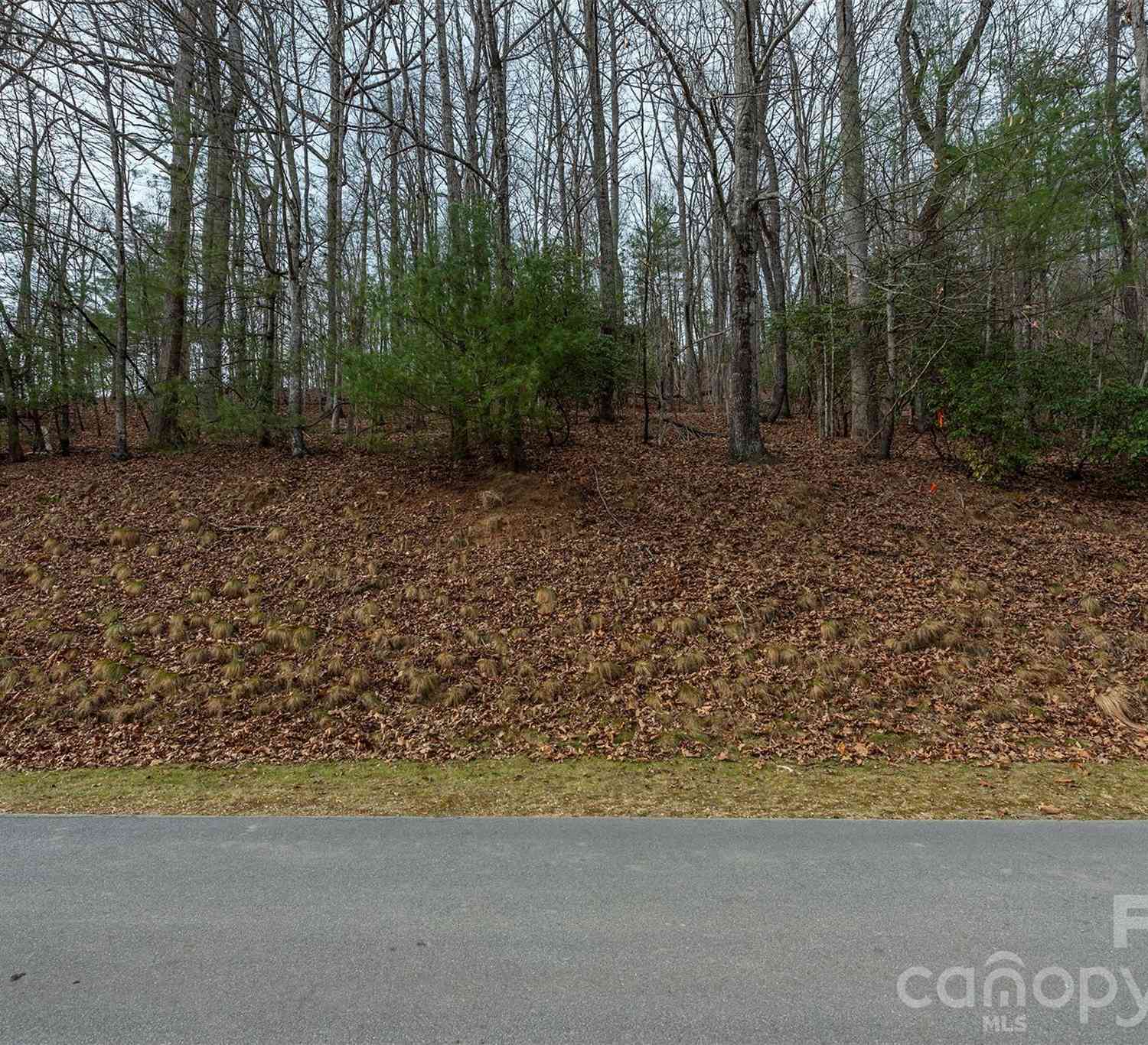 Vacant Land For Sale - 24 Falls Lane #391<br/> Hendersonville, NC 28739