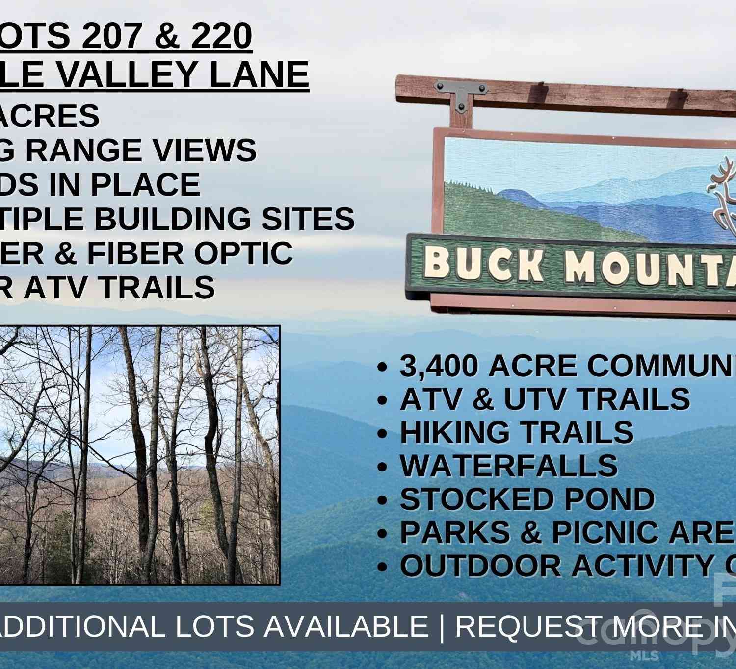Vacant Land For Sale - TBD Maple Valley Lane #207  220<br/> Purlear, NC 28665