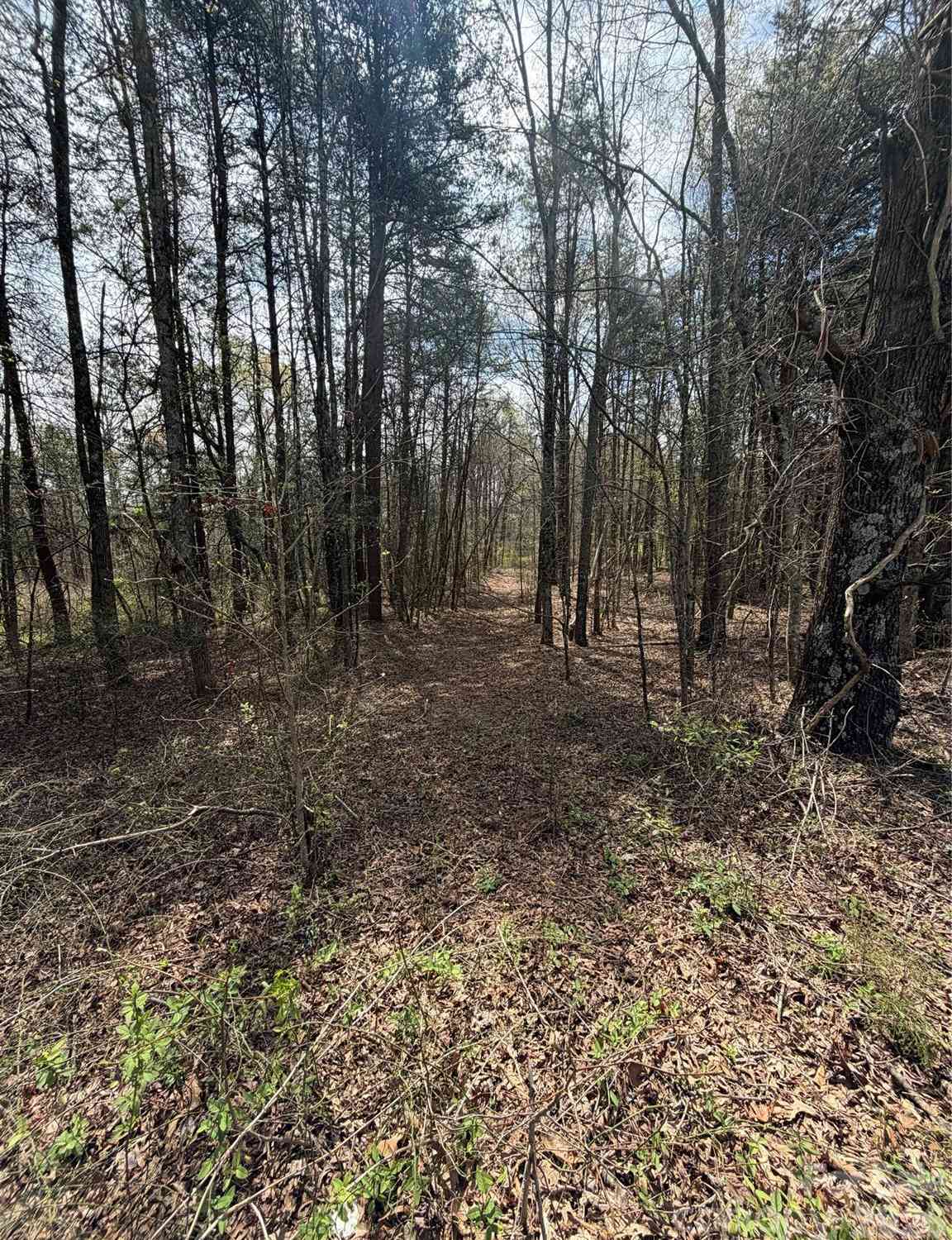 Vacant Land For Sale - 5495 Bucks Garage Road<br/> Maiden, NC 28650
