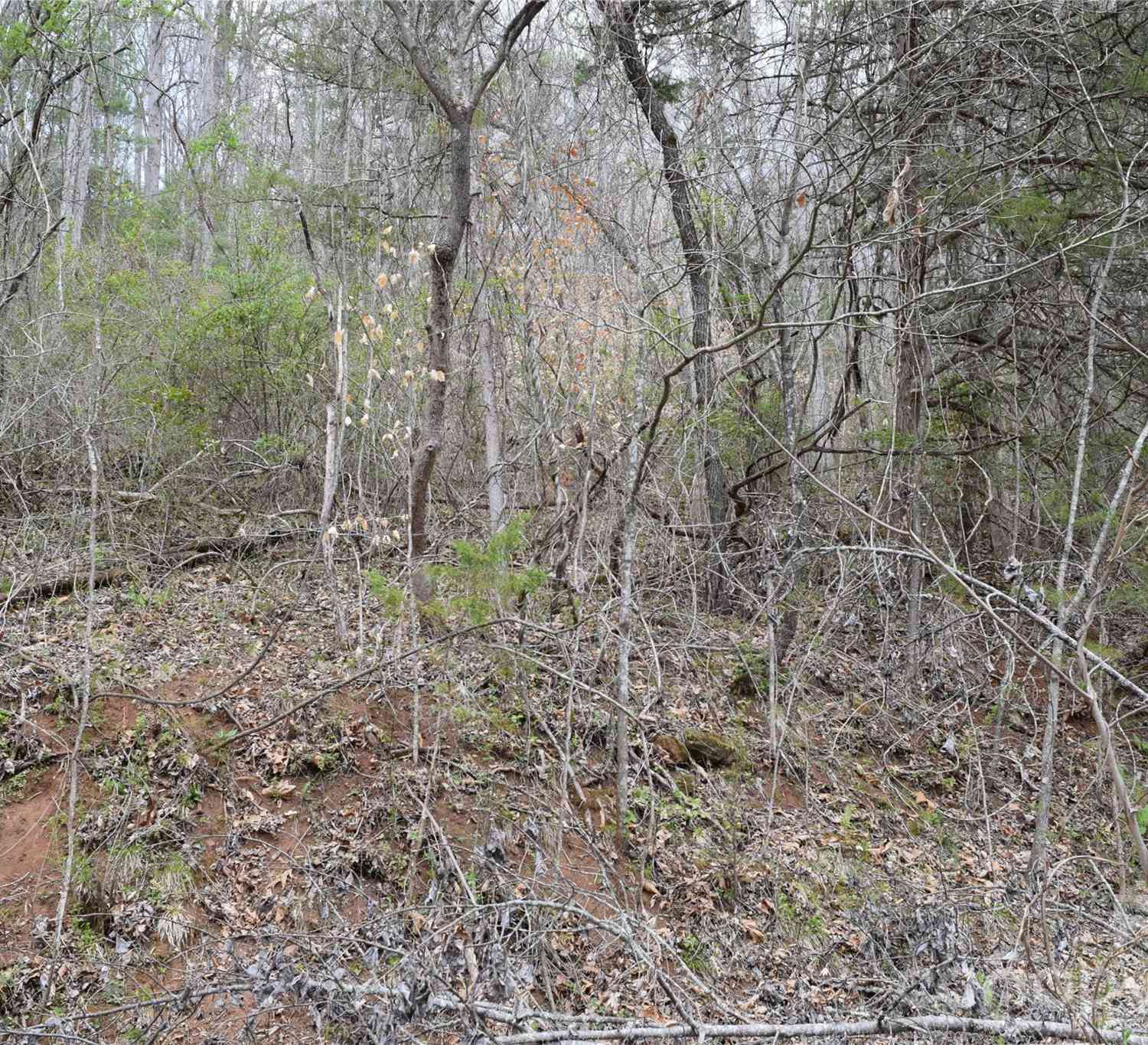 Vacant Land For Sale - TBD Bel Air Road #20<br/> Cullowhee, NC 28723