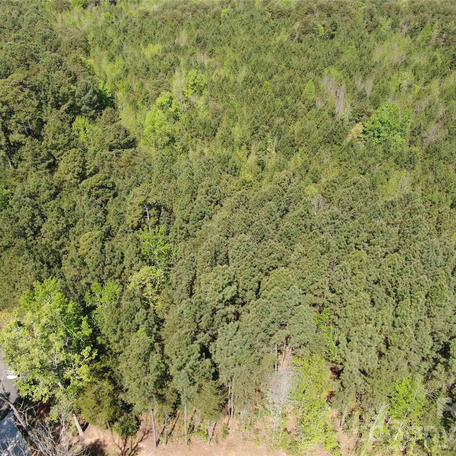 Vacant Land For Sale - 123 Summerlake Drive<br/> New London, NC 28127