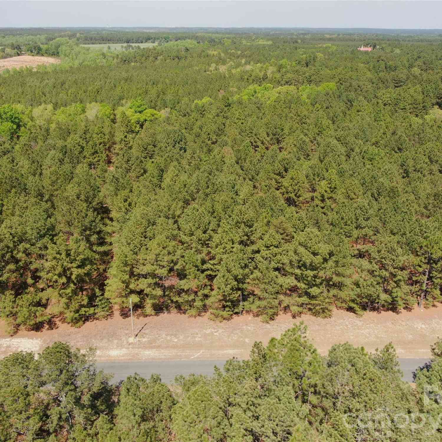 Vacant Land For Sale - 000 Leake Road<br/> Candor, NC 28338